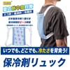 Ice Pack Backpack, Ice School Backpack, Includes 1 Ice Pack,