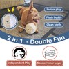 Veinbuty Squeaky Dog Balls,2 in 1 Interactive Plush Dog Toy