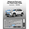 EVOOOR 089 Wind Chill Pearl Tricoat Touch Up Paint Compatible