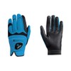 Hirzl Hybrid PLUS Golf Glove (Blue/Black, Large)
