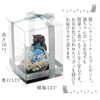 Utihana Preserved Flower Arrangement, Birthday, Celebration, Retirement, Present, Gift, Offering,