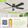 DAMINY 52 inch 5 Blades Black Ceiling Fans with Lights,Flush