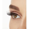 Ardell Wispies 701, false eyelashes