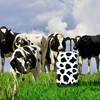 InUSA Cow Print Luggage with Spinner Wheels | Durable Lightweight