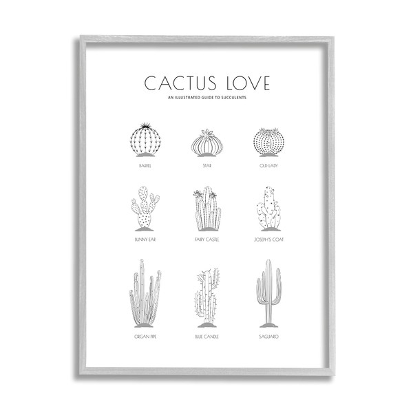 Stupell Industries Illustrated Guide to Succulents Minimal Modern Cactus Plant,