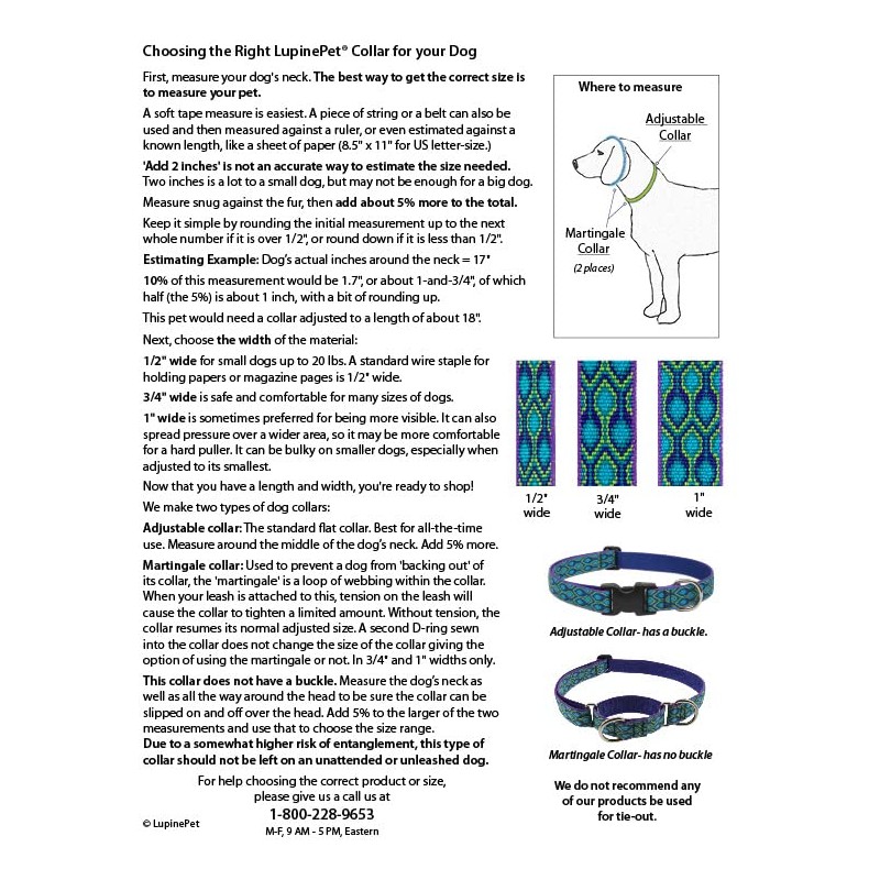 LupinePet Originals 1" Jelly Roll 12-20" Adjustable Collar for Medium