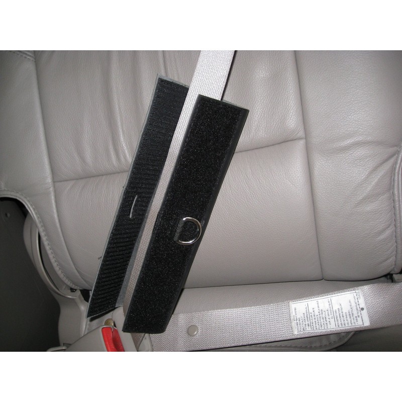 PawRider Tether Pet Leash, Black