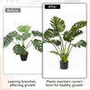 Pack of 8 Plant Support Shrub Holder, Plant Stem Holder,