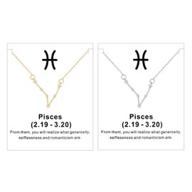 choice of all 2 Pcs 12 Horoscope Zodiac Round Glass Pendant Necklace for Women