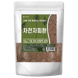 Psyllium pills 1kg Psyllium husk pills that are easy to swallow / 차전자피환 1kg 차전자피 목넘김이 쉬운 환