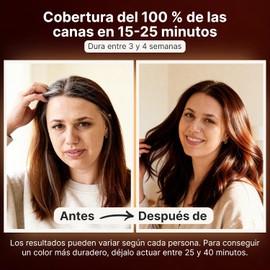 Herbishh - Champú colorante para cabello gris, champú con tinte natural para el cabello, colorea el cabello en minutos, dura hasta de 3 a 4 semanas, 500 ml, tinte de cabello 3 en 1, sin amoniaco (marrón castaño)