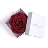 Infinity Rose Preserved Rose Box I Love You Gift for