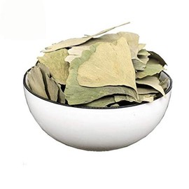 Hojas secas de Ginkgo Biloba Ginkgo Biloba Hojas sueltas secas - Gingko Maidenhair Tree Yinxingye (8.82 oz)