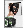 Garnier Skin Naturals PURE CHARCOAL Black Tissue Mask