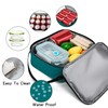 BEIMILY Lunch Box for Men Women Adults,Small Insulated Lunch Bag