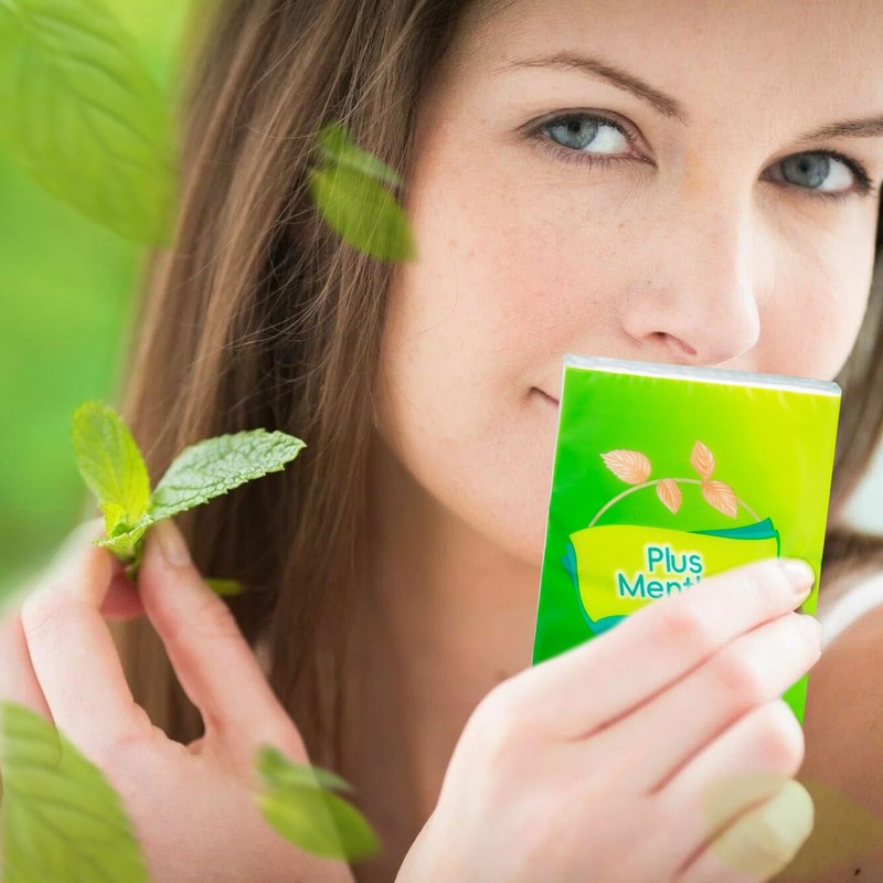 PLUS MENTHOL Menthol Lotion Pocket Tissues, Travel Size 4-Ply Thick