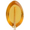 Clover Honey Spoon Contains Real Honey (30 Count)