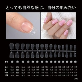 MUNCVY False Nails, Ballerina Ultra-Short S, Ultra-Thin, Full Adhesion, Glossy, Artificial Nails, 15 Sizes, 240 Pcs Set, Non-Sanding, Full Coverage, Plain Tips, Clear Tips, Practice Use, Professional