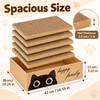 Cardboard Cat Scratcher Bed for Indoor Cats – Durable 5-Layer