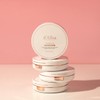 Dalba 달바세트 톤업 선쿠션 15g(1개)+리필 15g(1개) Dalba Set Tone-Up Sun