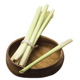 Park Seed Lemongrass Seeds