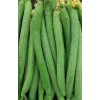 Fresh 30+ Premium Luffa Gourd Seeds 丝瓜籽 New Extra Long