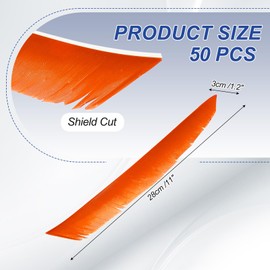 PATIKIL Arrows Vanes, 50 Pack 11 Inch Turkey Feather Arrow Fletching Archery Arrow Feather Right Wing Shield Fletch for DIY Target Shooting, Orange