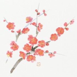 Daikoku Industry Place Mat, Plum 10.2 x 15.0 inches (26 x 38 cm), Table Mat, E Type, No.83, Plum 31029, Pack of 100