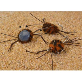 Paquete de 3 | Mosca de pesca de cangrejo de camuflaje de agua salada | Permiso, Bonefish, Tarpon, Redfish | Mustad Duratin Hook #2 (café y negro #2)