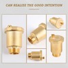 LALAGO Automatic Quick Bleeder DN20 3/4 Inch Bleed Valve, Brass