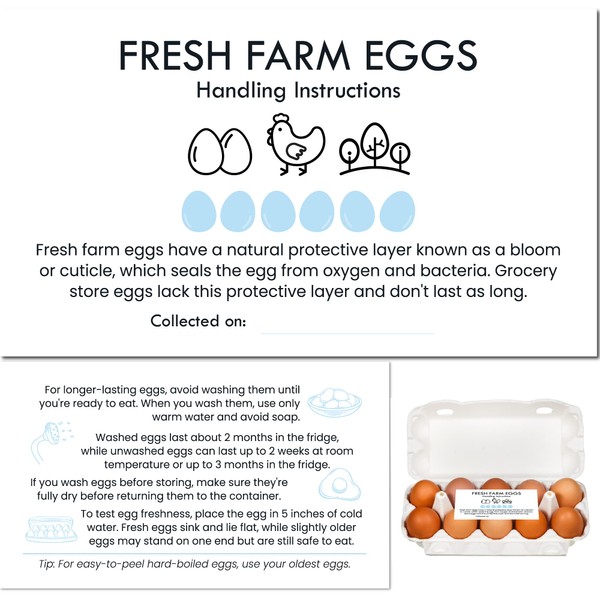 Havongki 100 Pack Premium Fresh Farm Eggs Handling Instructions Care