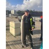 Conger Rigs/Traces x3 80lb Asso Mono, 6/0 Carbon Steel Circle