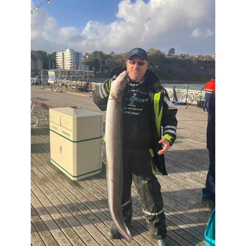 Conger Rigs/Traces x3 80lb Asso Mono, 6/0 Carbon Steel Circle