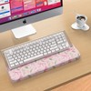 iCasso Computer Keyboard Wrist Rest Stand for Desktop,Comfortable Ergonomic Keyboard
