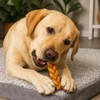 Pet Factory 7in Braided Beefhide Dog Chew Sticks with Peanut