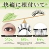 LASHVIEW with Magnetic Eyelash Applicator, Reusable Soft Magnetic Eyelashes Natural