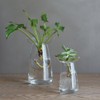 KINTO 20841 Flower Vase, Aqua Culture Base, 3.1 inches (80