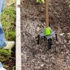 AMES 2917100 Steel Garden Tiller with T-Grip, 41-Inch