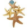 NESSASTORES Sugar Starfish Sea Shell Wedding Real Craft 4" to