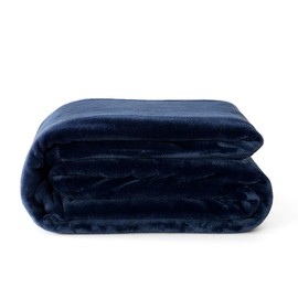 Reafort Ultra Soft Flannel Fleece Royal Plush Velvet Lightweight Living Room/Bedroom Warm Blanket (Blue, Full/Queen 90"X92")