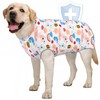 AOFITEE Dog Recovery Suit, Surgical Recovery Suit for Dog Female