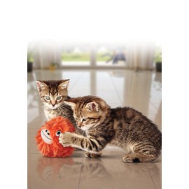 KONG Softies Patchwork Bear Assorted