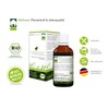 Wellnest Bertrand Heidelberger Herbal Power 100 ml No Artificial Colours