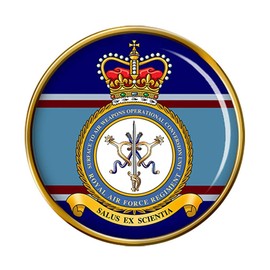 Surface to Air Weapons Operational, RAF Conversion Unit Pin Badge