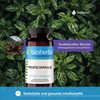 BIOHERBA Devil's Claw - 310 mg Harpagophytum Procumbens Capsules -