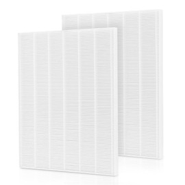 Filter H 5500-2 Replacement Filter For Winix Air Purifier 116130 Replacement Compatible with Winix 5500-2 and AM80 Air Purifier, 2 Pack HEPA Filter Only