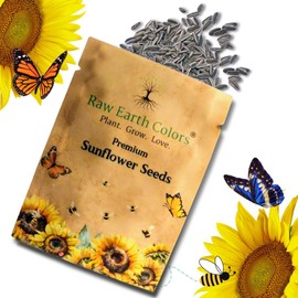 Sunflower Seeds for Planting to Plant Mammoth Sunflower Seeds Packet of About 100 Flower Seeds (Asteraceae Asterales Helianthus giganteus) !