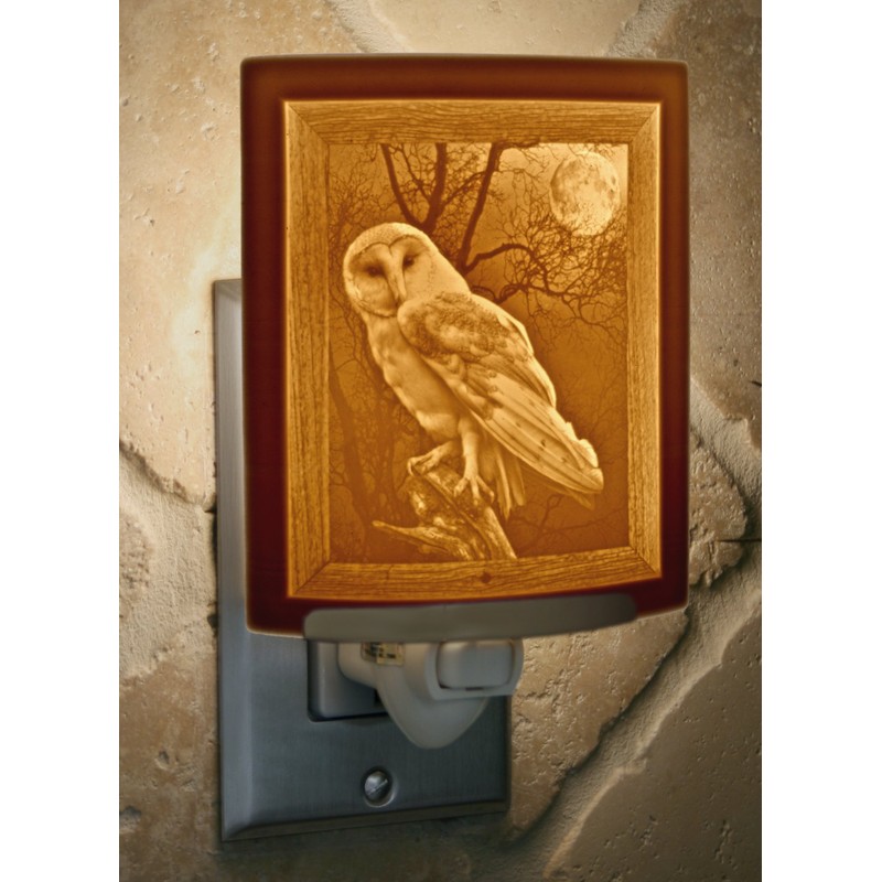 The Porcelain Garden The Owl Night Light, Porcelain Lithophane, Decorative