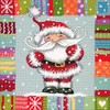 Dimensions Needlepoint Kit, Patterned Santa Claus Christmas Needlepoint, 14'' x