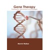 Gene Therapy: Therapeutic Mechanisms and Strategies